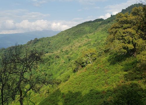 1 Days Explore the Mystical Mountains in One Day