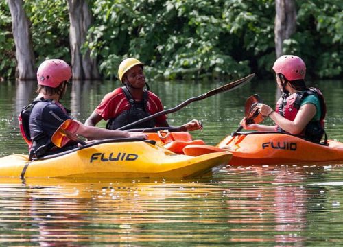 17 Days Uganda Safari: Adventure, Wildlife, and Primate Encounters