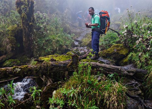 3 Days Mahoma short Loop, Rwenzori hiking